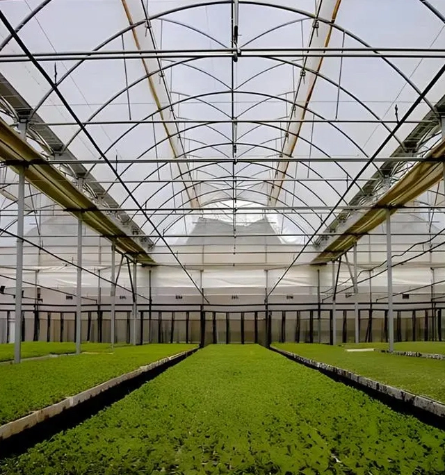 Blog de vidro com efeito de estufa e baixar