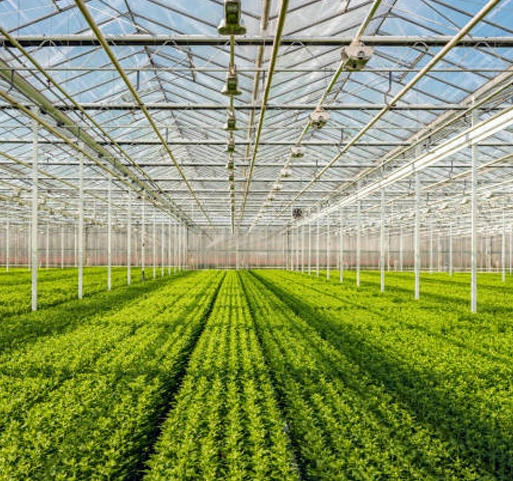 Painéis de vidro com efeito de estufa