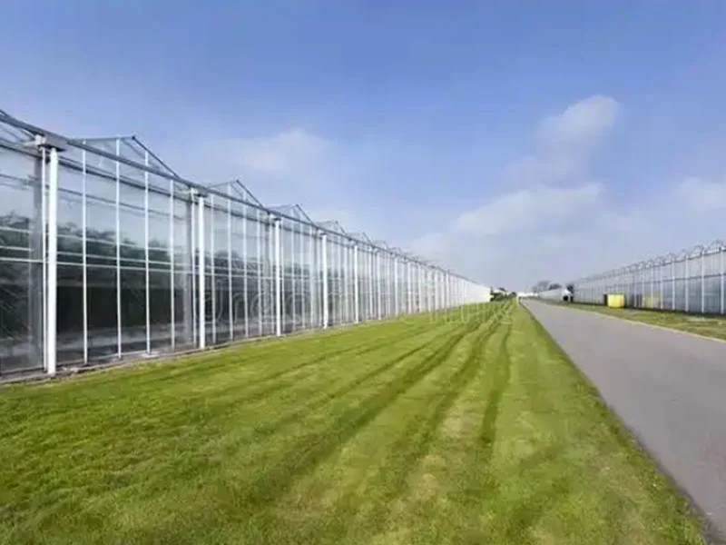 Análise das vantagens das estufas de vidro inteligentes